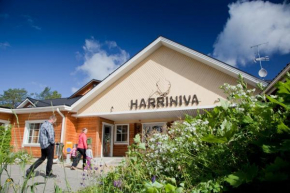 Harriniva Cottages